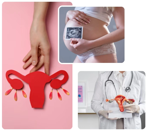 Causes of Gynecological & Obstetric Conditions